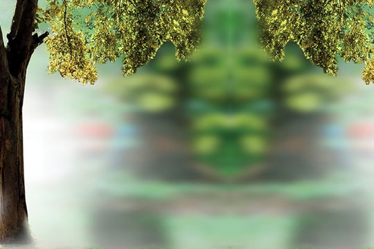 Càng mạnh mẽ bên ngoài càng yếu đuối bên trong