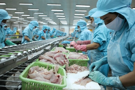 Sắp diễn ra Phiên tư vấn xuất khẩu thủy sản sang thị trường châu Phi Sắp diễn ra Phiên tư vấn xuất khẩu thủy sản sang thị trường châu Phi