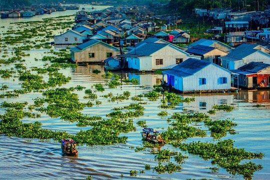Tạo cơ sở dữ liệu liên ngành vùng đồng bằng sông Cửu Long