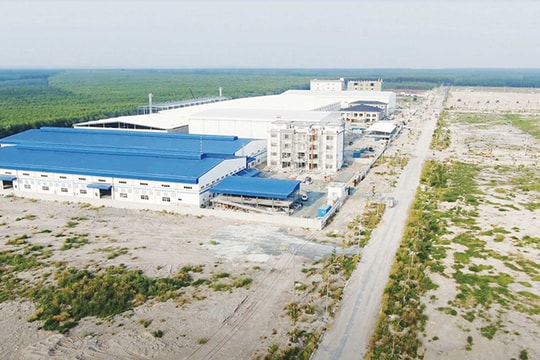 Bình Phước cải thiện môi trường đầu tư để thu hút FDI