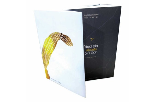 Dưới tán chò nâu Sài Gòn