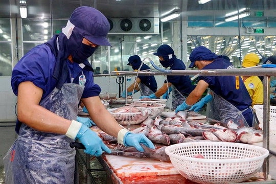 Sắp phát hành bản đồ doanh nghiệp thủy sản Việt Nam phiên bản mới