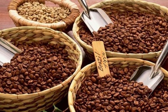 Xuất khẩu cà phê đạt trên 2 tỷ USD trong 5 tháng đầu năm 2022