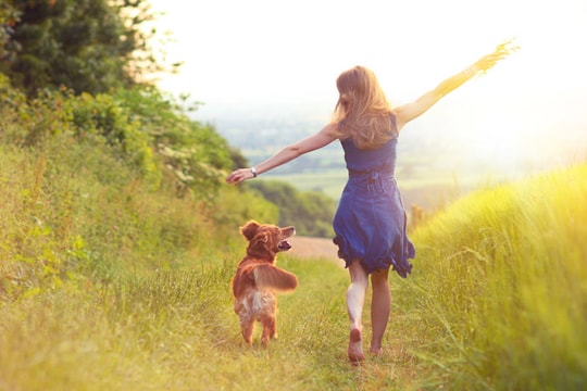 10 cách khiến cuộc sống trở nên tốt đẹp hơn