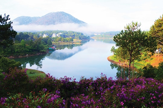 Khoảnh khắc Đà Lạt