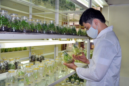 Việt Nam xếp hạng 46 trên toàn cầu về nghiên cứu chất lượng cao
