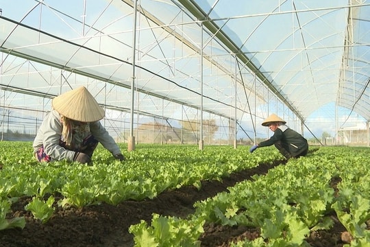 Khởi động xây dựng kế hoạch quốc gia thực hiện kinh tế tuần hoàn