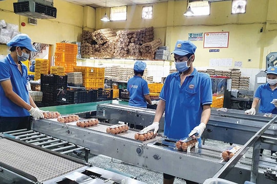 Khó khăn bủa vây doanh nghiệp bình ổn thị trường