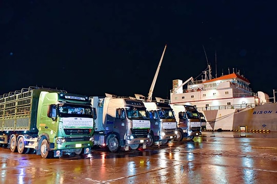 Vinamilk nhập 1.000 con bò sữa HF từ Mỹ về tổ hợp trang trại tại Lào