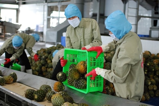 Phát hành cẩm nang hướng dẫn xuất khẩu rau quả sang Trung Quốc