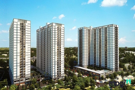 HoREA kiến nghị giải pháp cho tình trạng thiếu nhà giá rẻ tại TP.HCM