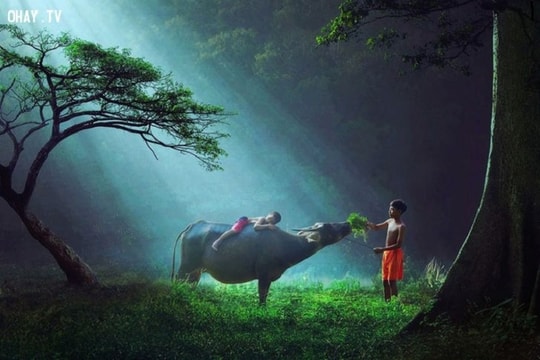 Nhận diện tổn thương và tự chữa lành "nốt trầm" trong quá khứ