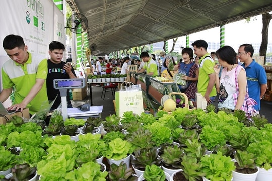 Ngày hội xanh Phú Mỹ Hưng lần 5 - 2022