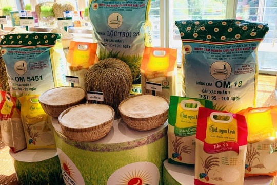 Giá gạo Việt Nam tăng mạnh, vượt giá gạo Thái Lan