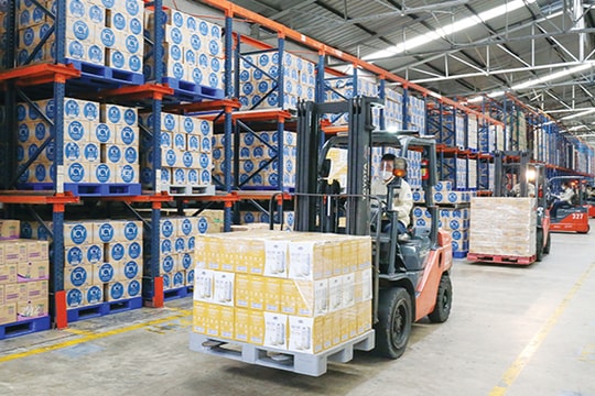 Kim ngạch xuất khẩu khởi sắc