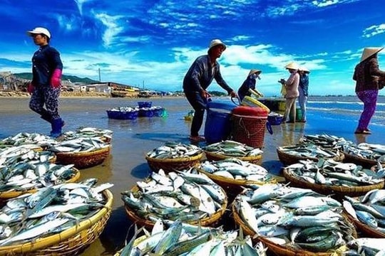Gỡ thẻ vàng thủy sản: “Chạy nước rút” trước giờ G