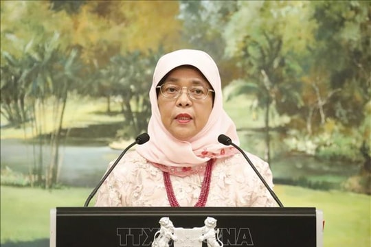 Việt Nam - Singapore: Kết nối hai nền kinh tế trên nền tảng số Việt Nam - Singapore: Kết nối hai nền kinh tế trên nền tảng số