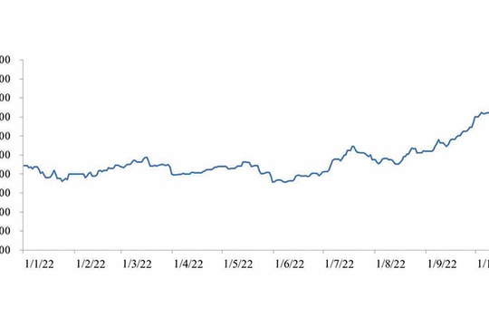 Đối mặt với sức ép tỷ giá