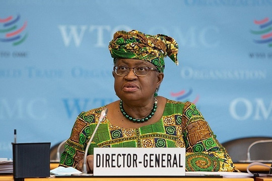Tổng giám đốc WTO cảnh báo nguy cơ suy thoái ở nhiều nền kinh tế lớn