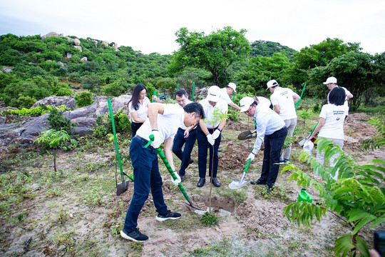 Chương trình trồng rừng “Sống khỏe góp xanh” chung sức trồng 1 tỷ cây xanh – vì một Việt Nam xanh