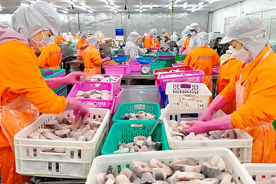 Xuất khẩu thủy sản Việt Nam lần đầu đạt mốc 10 tỷ USD