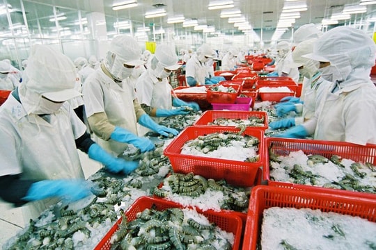 8 nhóm nông sản Việt đạt giá trị xuất khẩu trên 2 tỷ USD