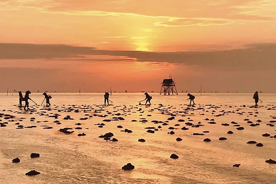 Đến Thái Bình khám phá vẻ đẹp cuộc mưu sinh Đến Thái Bình khám phá vẻ đẹp cuộc mưu sinh