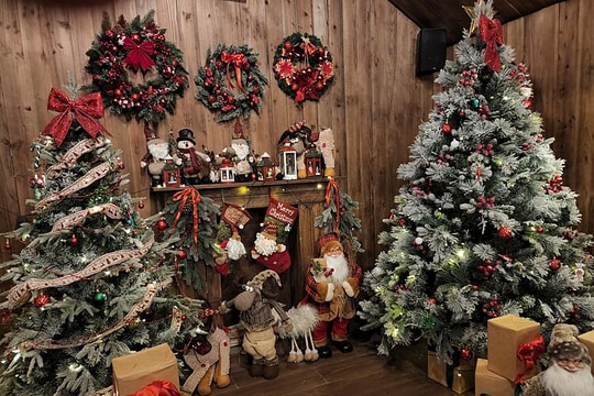 Sự thật bất ngờ về cây thông Noel