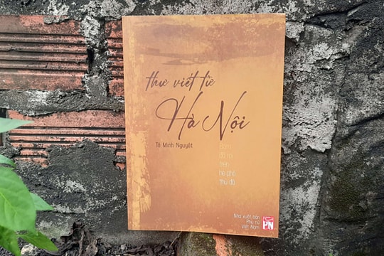 Những câu chuyện hiện lên dưới góc nhìn của người trong cuộc