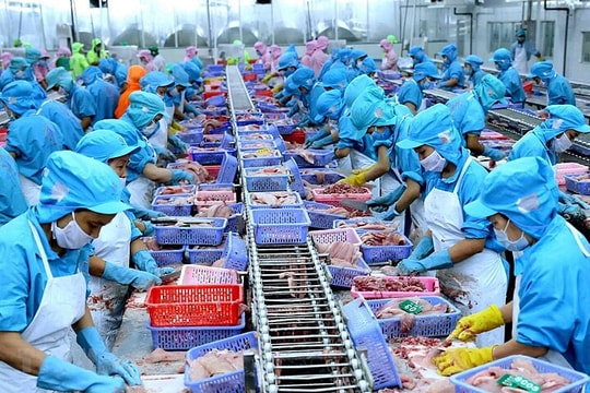 Năm 2022, ngành thủy sản Việt Nam đạt kim ngạch xuất khẩu 11 tỷ USD