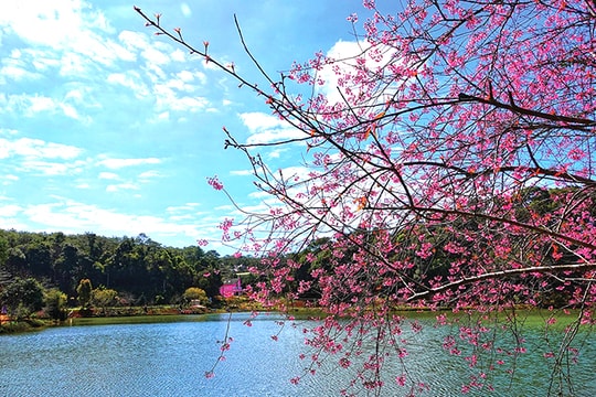 Tết đến rồi, về nhà thôi!