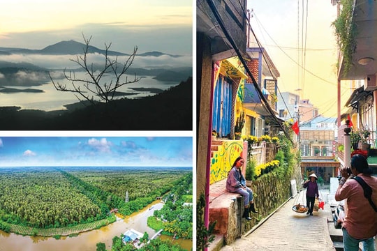 Tháng Giêng du hành phương Nam