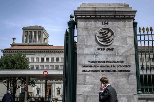 WTO ưu tiên cải cách hệ thống giải quyết tranh chấp thương mại