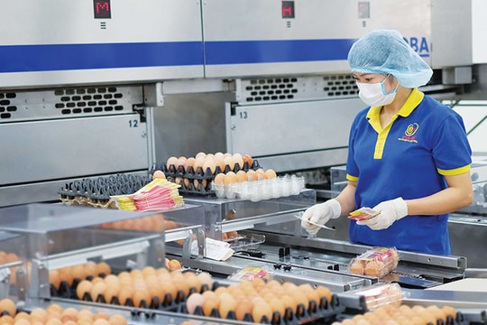 Cách nào để gỡ khó cho doanh nghiệp? Cách nào để gỡ khó cho doanh nghiệp?