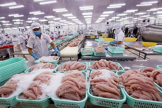Xuất khẩu thủy sản sang Trung Quốc đang khởi sắc Xuất khẩu thủy sản sang Trung Quốc đang khởi sắc