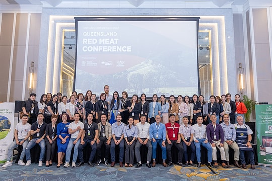 Việt Nam nhập khẩu hơn 37.000 tấn thịt bò Úc trong 3 năm qua