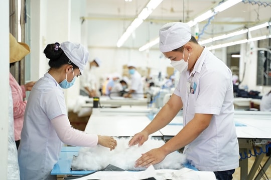 Doanh nghiệp trốn đóng bảo hiểm bị đề xuất ngừng sử dụng hóa đơn