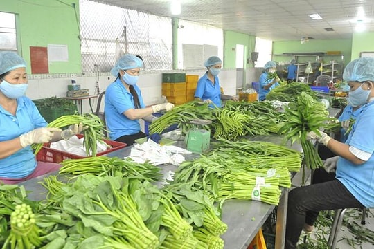 9 mặt hàng xuất khẩu tăng trưởng dương 2 tháng đầu năm 2023
