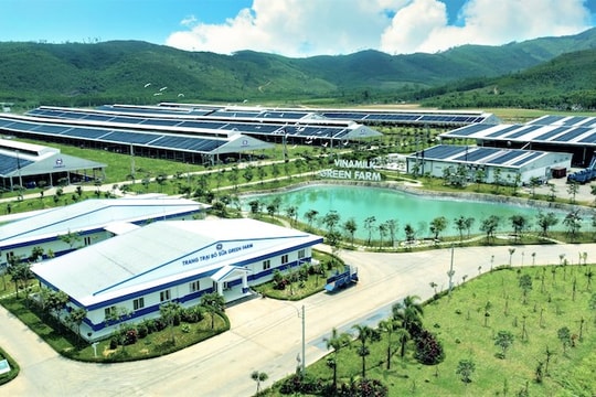 Doanh nghiệp muốn tồn tại phải “xanh hóa” Doanh nghiệp muốn tồn tại phải “xanh hóa”