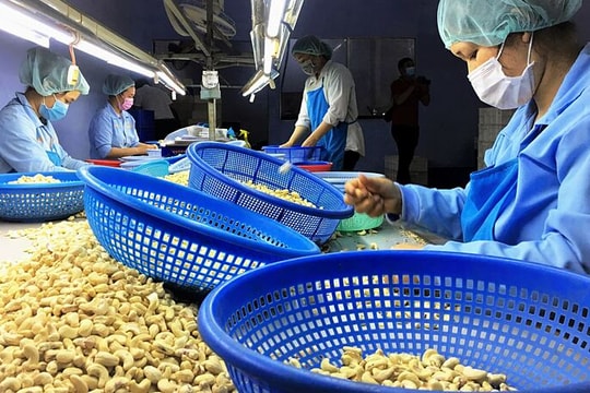 Tin tức sáng ngày 20/3: Điện thoại, linh kiện dẫn đầu nhóm xuất khẩu tỷ USD Tin tức sáng ngày 20/3: Điện thoại, linh kiện dẫn đầu nhóm xuất khẩu tỷ USD