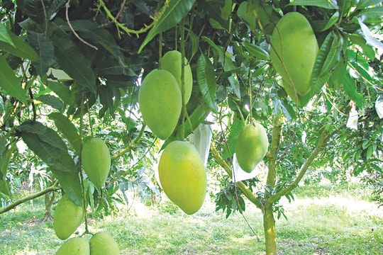 Tổng hợp tin doanh nghiệp ngày 21/3