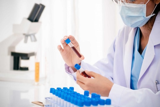 Việt Nam đặt mục tiêu loại trừ bệnh sốt rét vào năm 2030 Việt Nam đặt mục tiêu loại trừ bệnh sốt rét vào năm 2030