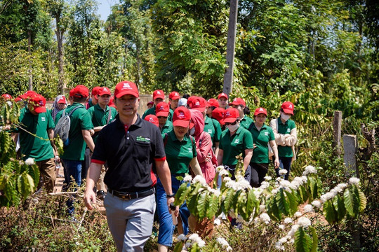 Nestlé Việt Nam cùng người tiêu dùng trải nghiệm hoạt động trồng rừng