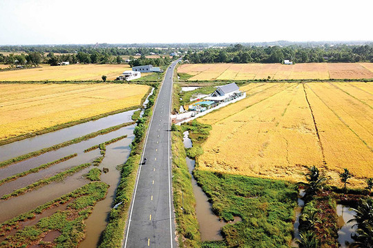 Đồng bằng sông Cửu Long: Phát triển kinh tế nông nghiệp "thuận thiên"