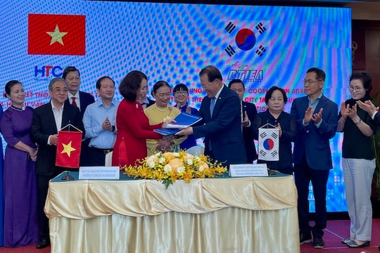 Hợp tác giữa HTCAA và BITIEA: Khởi đầu vươn ra thế giới của các doanh nghiệp tư vấn và đại lý thuế tại TP.HCM Hợp tác giữa HTCAA và BITIEA: Khởi đầu vươn ra thế giới của các doanh nghiệp tư vấn và đại lý thuế tại TP.HCM