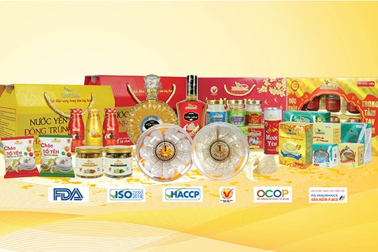 Yến sào Trí Sơn: Chất lượng thật, tổ yến thật Yến sào Trí Sơn: Chất lượng thật, tổ yến thật