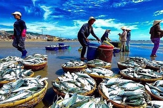 Tháo gỡ khó khăn, thúc đẩy sản xuất, xuất khẩu lâm sản và thuỷ sản Tháo gỡ khó khăn, thúc đẩy sản xuất, xuất khẩu lâm sản và thuỷ sản