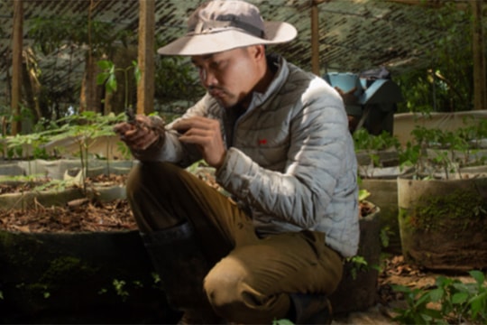 Sâm Ngọc Linh Tu Mơ Rông: Đưa giá trị bổ dưỡng đến với người tiêu dùng