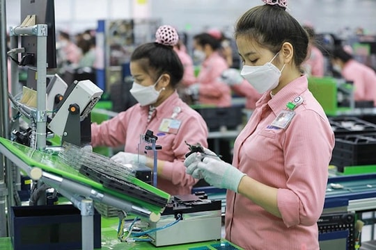 5 tháng đầu năm: 95.000 doanh nghiệp thành lập mới, 88.000 doanh nghiệp đóng cửa