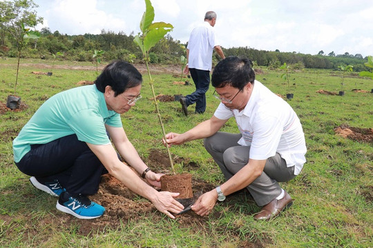 Hội Nhà báo Việt Nam tham gia trồng hơn 3.000 cây xanh tại Bình Phước